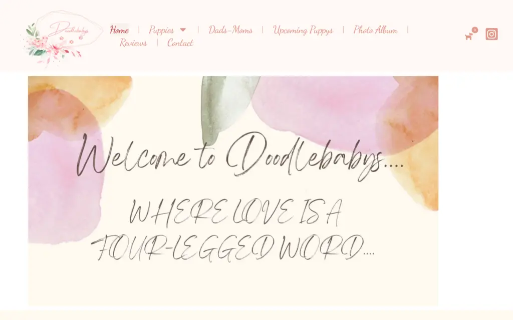 Doodle Babys website by Yoder Websites