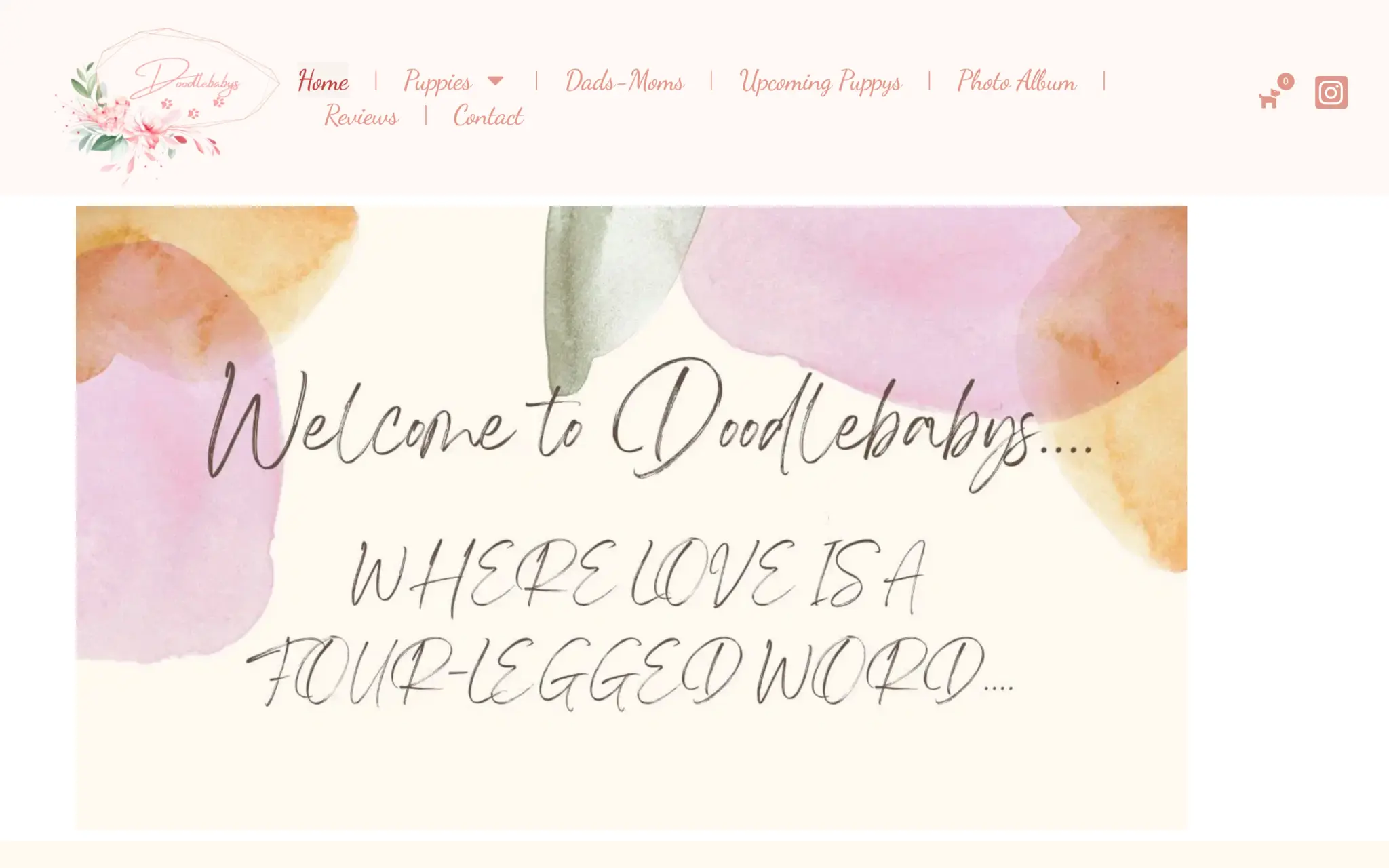Doodle Babys website homepage