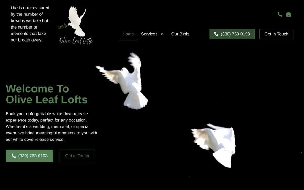 Olive Leaf Lofts website by Yoder Websites