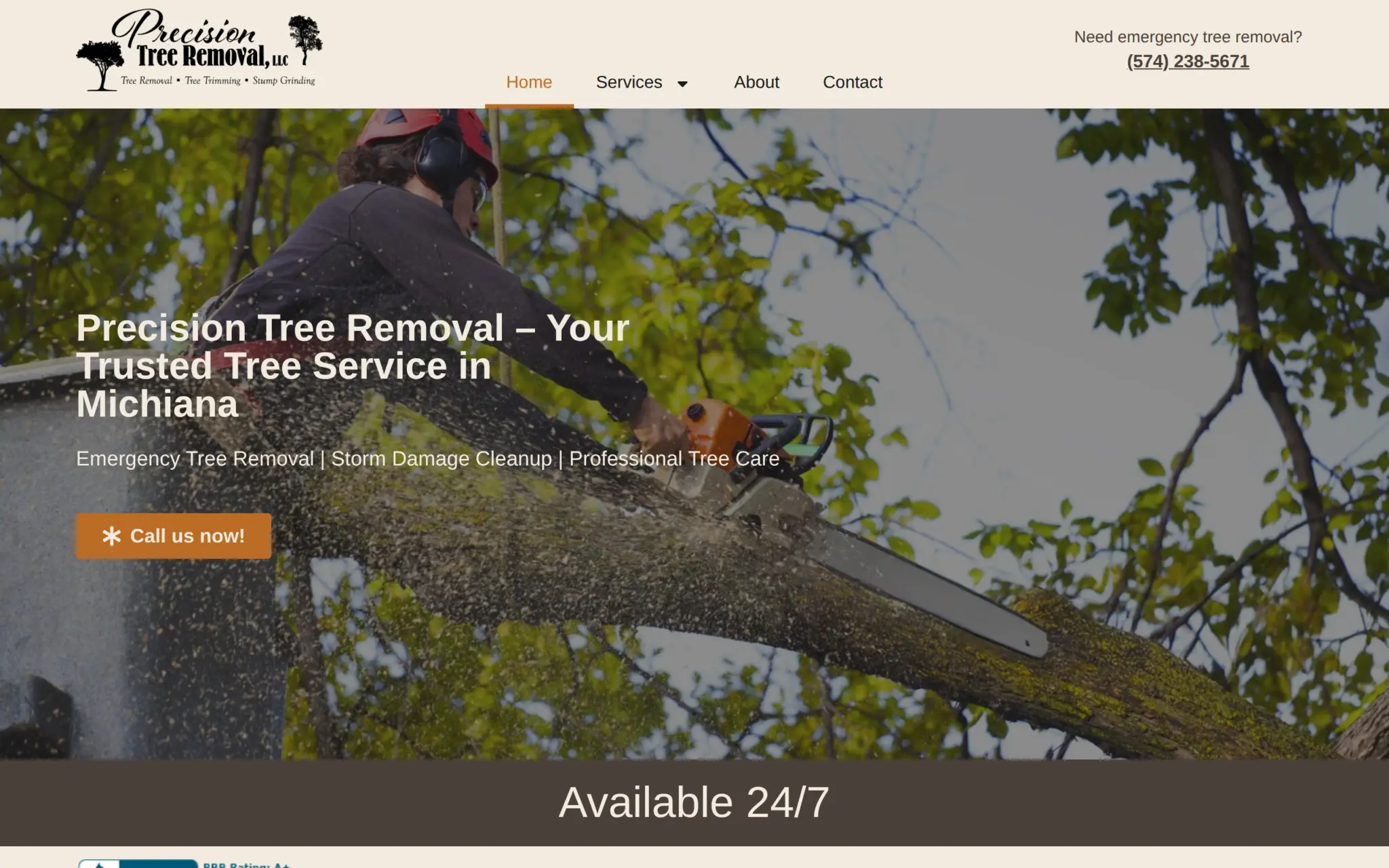 Precision Tree Removal website homepage