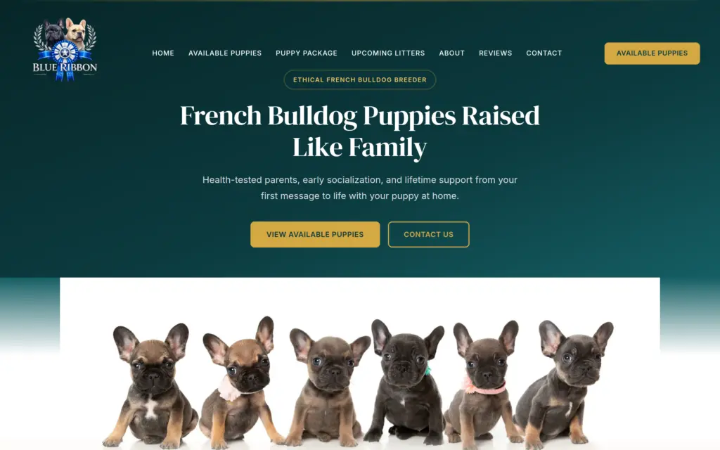 Blue Ribbon Frenchies website by Yoder Websites