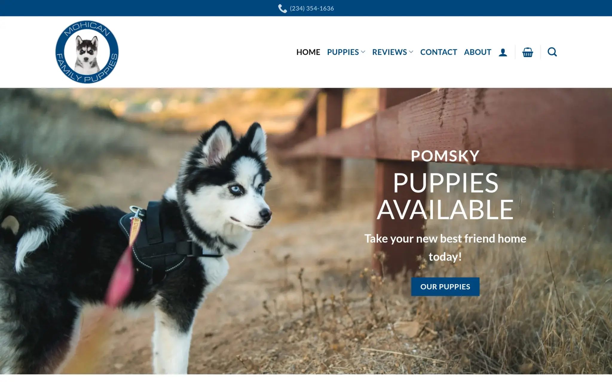 Mohican Family Puppies website homepage